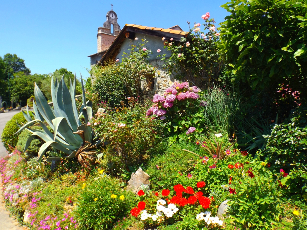 Talus au centre du village : aloes, hortensias ...