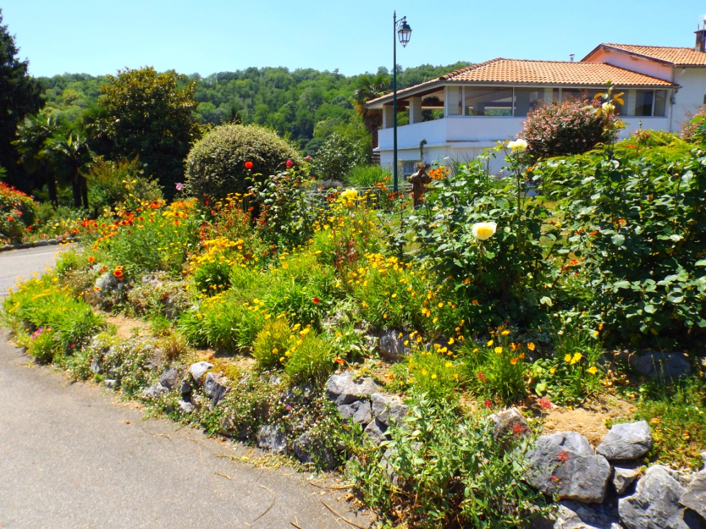 Sortie salle des Fêtes : gaillardes, coréopsis, rosiers ...