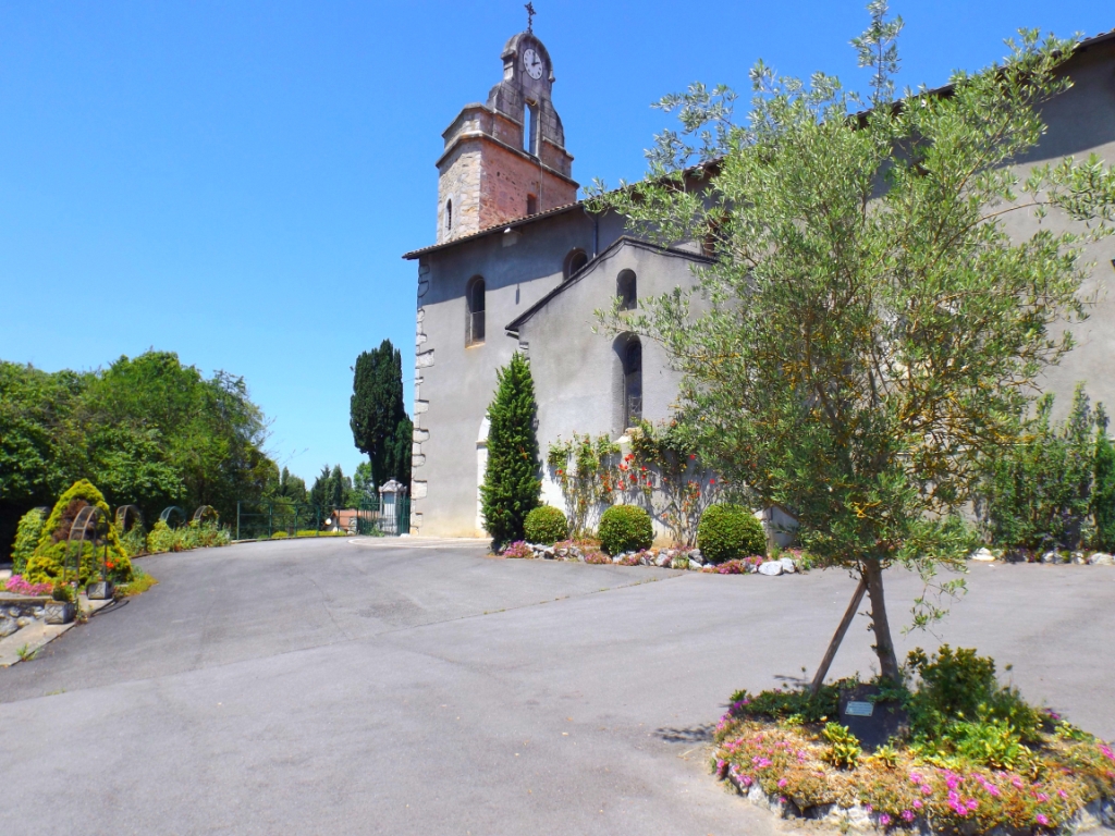 Place de l'église : olivier offert par le père Destié à l'association Benoît Labre